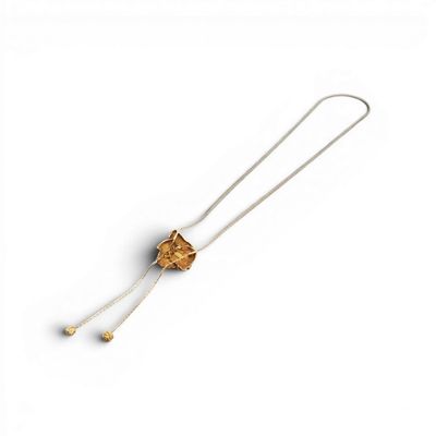 gros plan d'un collier sur fond blanc