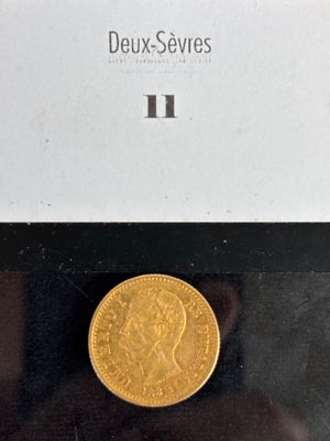 an image of a gold coin sitting on top of a black surface