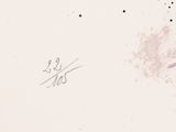 Photo 19/22 du lot