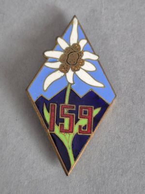 un gros plan sur un insigne orné d'une fleur