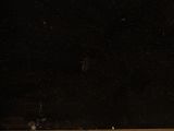 a cat sitting on a window sill looking out the window