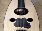 an image of a guitar with a mustache on it