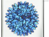 a close up of a picture of blue butterflies in a black frame