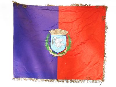 Drapeau du stade olympique rosnéen avec les armes de la vill…
