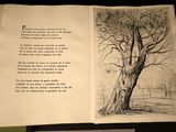 a book with a picture of a tree in it