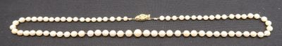 a close up of a necklace made of white beads on a black surface