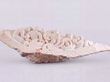 a white bowl with a decorative design on it