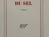 la couverture d'un livre avec la photo d'une femme en robe rouge