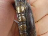 a hand holding a ring with an elephant ' s head on it