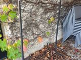 un banc et une chaise devant un mur de pierre