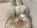 une coquille de palourde sur le sol d'un magasin