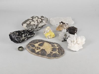 several different types of rocks and stones on a white surface