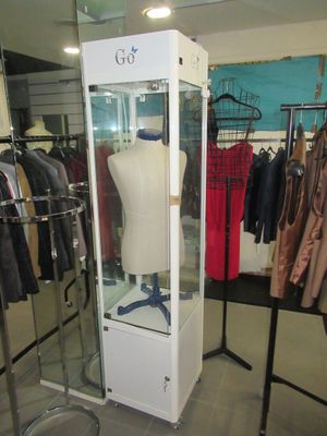 a display case with a mannequin in it in a clothing store
