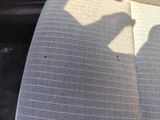 a cat that is sitting in the back seat of a car