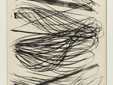 an image of a black and white drawing of a line of hair