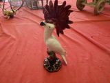 a white bird with a red mohawk on it ' s head sitting on a table