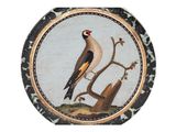 a picture of a picture of a bird on a branch