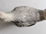 a small bird that is sitting on top of a bowl