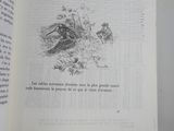 Photo 6/15 du lot