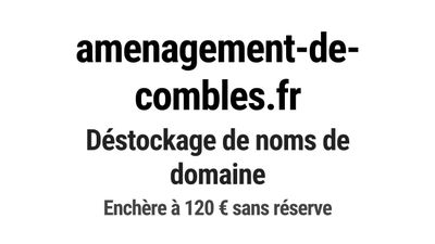 Nom de domaine amenagement-de-combles.