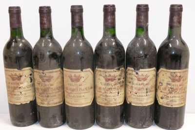 six bouteilles de vin sont alignées sur une surface blanche