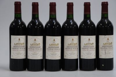 6 bouteilles Château Tuillac 2001 - Côtes de Castillon - Photo 1