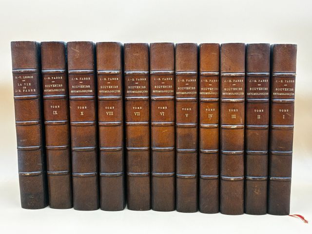 FABRE J.H. : Souvenirs entomologiques. Paris, Delagrave, 1825, 10...