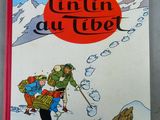 la couverture d'un livre pour enfants représentant un homme à skis