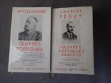 Deux livres sont posés sur une table ; l'un d'eux comporte la photo d'un homme en costume et