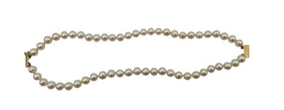 a close up of a pearl necklace on a white background