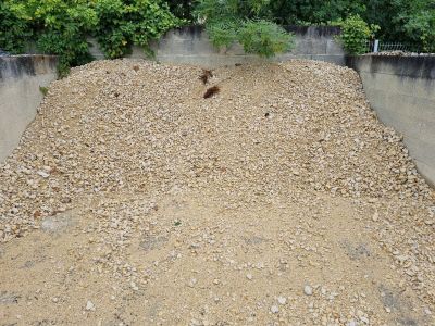 deux ours qui se tiennent debout au milieu d'un tas de rochers