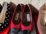 several pairs of shoes are lined up on a shelf in front of a wallpapered wall