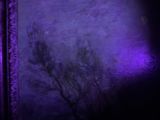 a picture of a tree that is lit up in the dark