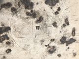 a close up of a dirty plate with black spots on it