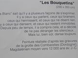 Photo 9/11 du lot