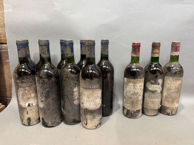 six bouteilles de vin sont alignées sur une table