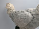 a white chicken that is standing on top of a table