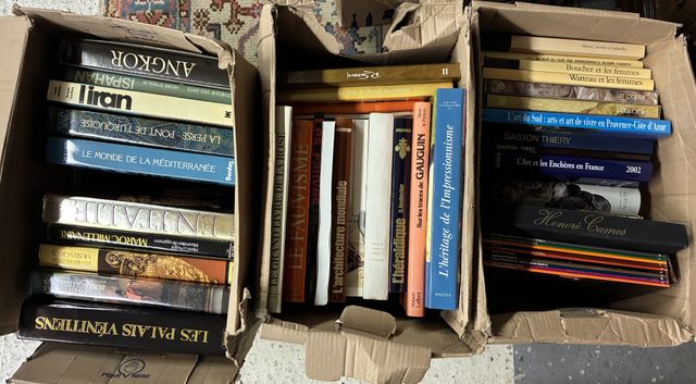 3 cartons de livres d’art, de voyages. 