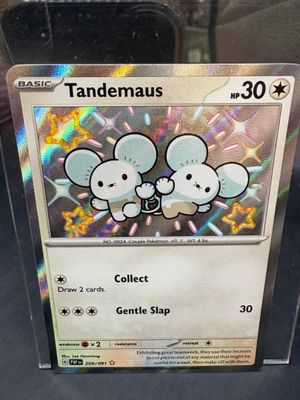 une carte sur laquelle figure l'image de deux souris
