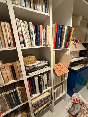 a room with a lot of books on the shelves