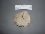 a piece of rock that has some writing on it