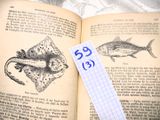 un livre ouvert sur lequel se trouve une feuille de papier