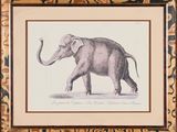framed picture of an elephant with a long tusk walking in the grass