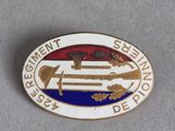 an image of a lapel pin with the emblem of the department of defense
