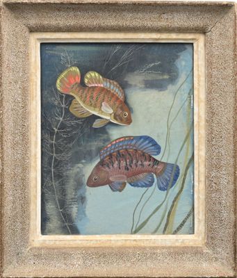 tableau représentant deux poissons, encadré et accroché au mur