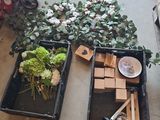 deux plateaux de plantes posés par terre
