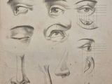 croquis représentant les yeux et le nez d'un homme