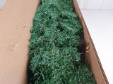 a cardboard box with a christmas tree inside of it
