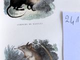 deux dessins représentant un rat et une souris sur une feuille de papier