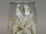 a glass jar filled with a lot of toothbrushes